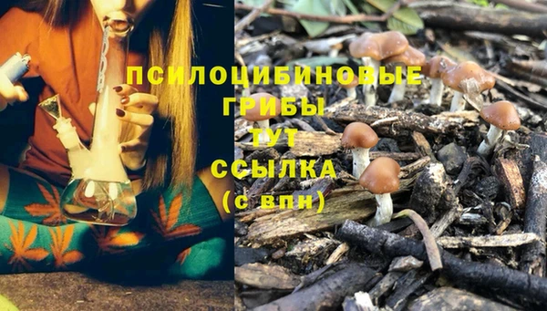 jwh Алексин