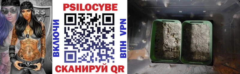 Галлюциногенные грибы Cubensis  Купить где  Волоколамск 